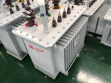 500kva transformateur de puissance dévolteur à haute tension de distribution de transformateur immergé dans l'huile de 3 phases fournisseur